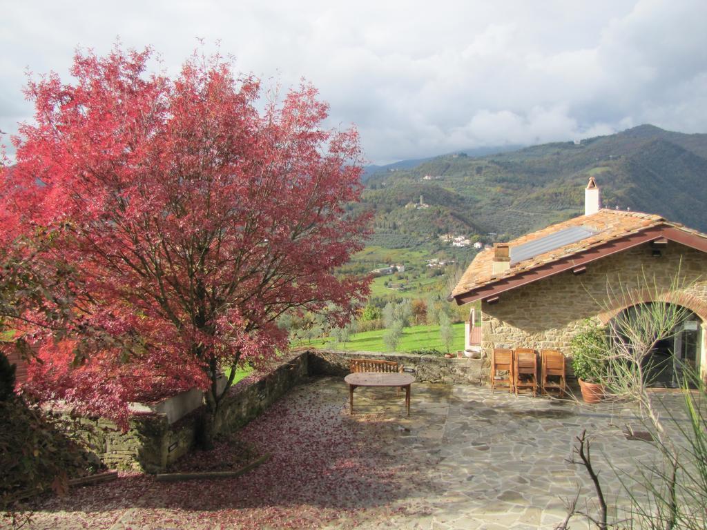 Agriturismo La Fontaccia Rufina Exterior foto